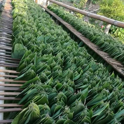 Xếp lá trên giàn